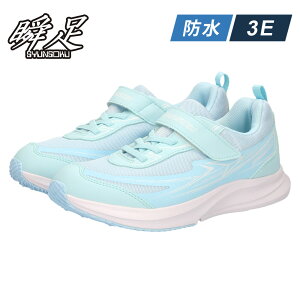 �u�� 3E �h�� SJJ1520 JJ-152 �L�b�Y �j�̎q ���̎q �X�j�[�J�[ �ʊw �C �� �u���b�N �T�b�N�X �u���[ �u���[�h�u�[�X�^�[