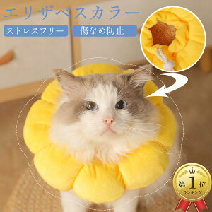 _߁^GUxXJ[ ybg  L lR p \tg^Cv ×p  XgXt[ GUxXJ[  ^ ^ z NbV y _炩 炩 h[ic 