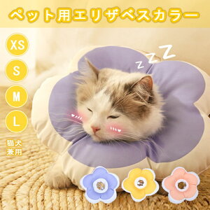 yyV1ʁz GUxXJ[ _炩 ybg 킢 \tg h[ic h y rߖh~ p  ی  L ^  @\t ybgpi r p XS S M L sN