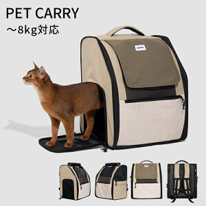 yHiDREAMzybgbN L[obO  bN pbN Vv   ^ L lR ˂ L[P[X ` ʉ@ d h `8kgΉ