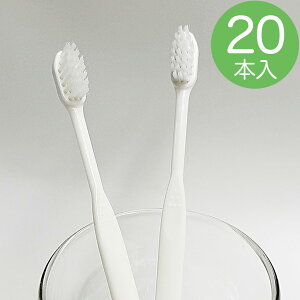 使い捨て歯ブラシ 業務用 激安」の人気商品一覧 | 安い商品を通販 