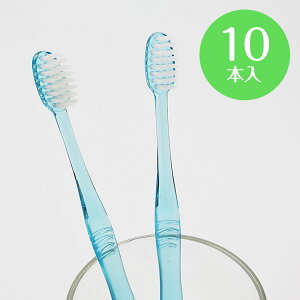 n~KL Ɩp ĝ uV 28 10{ ז NAu[ oqp |p |p HƗp nuV ͂Ԃ炵