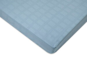�p���}�E���g�x�b�h �d���x�b�h Active Sleep BED�p �|���ӂƂ�J�o�[ �T�e���h�b�g�`�F�b�N�i��q�D�j �V���O�� 150�� �Q�� RE-ZF90S