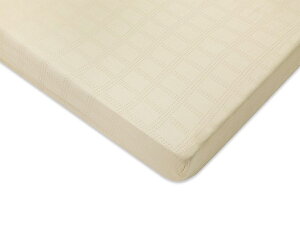 �p���}�E���g�x�b�h �d���x�b�h Active Sleep BED�p �|���ӂƂ�J�o�[ �T�e���h�b�g�`�F�b�N�i��q�D�j �V���O�� 150�� �Q�� RE-ZF90S