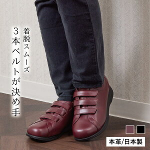 3E 3{xg {v Xj[J[ }WbNe[v \ fB[X  wlvC 22.0cm`25.0cm oPbg2 s16 L b  ʃt@Xi[ \