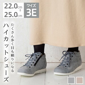 3E nCJbgXj[J[ u[c ԕi { fB[X L tHbW2 SB801 U[Xj[J[ JWA {v X[L[sN ICX^[ O[u[ 225 23 235 24 245 25cm