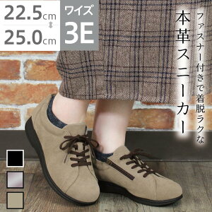 3E ₷ y t@Xi[t Xj[J[ JWA AoEH[NvX2 s14 fBX  wl 22.0cm`25.0cm CY3E L b  vC 