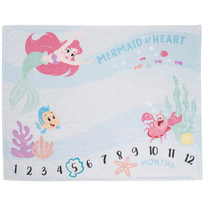 fBYj[ }CNt@Co[ uPbg g}[Ch AG }CXg[ tHg V[c oYj  LOʐ^