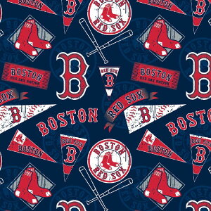 / 10cmP ăJbg MLB {Xg bh\bNX S n  W[[O Rbg vg j̎q ̎q z  | A