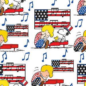 / 10cmP ăJbg Xk[s[ AJ[i n  Rbg vg LN^[ z  | A