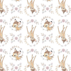 / 10cmP ăJbg fBYj[ or zCg n  Rbg vg LN^[ z  | A