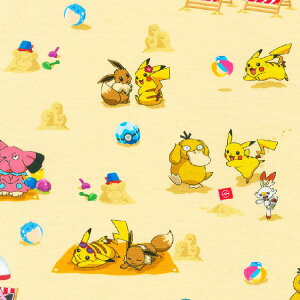 / 10cmP ăJbg |P r[` ^ n  sJ`[ Rbg vg LN^[ j̎q ̎q z  | A