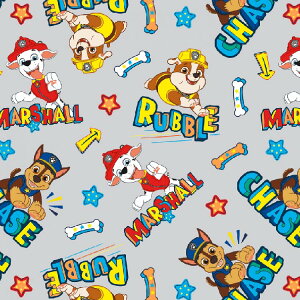 / 10cmP ăJbg pEEpg[ O[ n  pEpg Rbg vg LN^[ j̎q ̎q z  | A