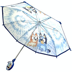 qǂP P LbY qp 40cm fBYj[ u[C JT Disney BLUEY