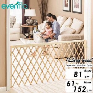 yX[p[SALEizxr[Q[g C[ut[ 81cm i`Ebh EH[NX[ Q[g evenflo