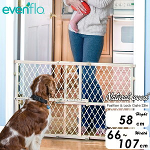 evenflo ybgQ[g C[ut[ 58cm i`Ebh |WV&bN hA[EFCQ[g