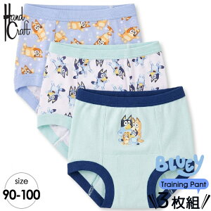 ��������/ �g���[�j���O�p���c �j�̎q �q�� �u���[�C 90-100cm 3���g �j�� �L�b�Y ���� �q�ǂ��p �p���c �Z�b�g �L�����N�^�[ BLUEY