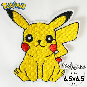 ポケモン 刺繍の人気商品 通販 価格比較 価格 Com