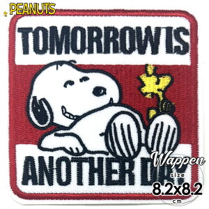 yI[^SALE|Cg3{z/ by Xk[s[ ANOTHER DAY lp hJ AC LN^[ pb` AbvP SNOOPY
