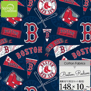 / 10cmP ăJbg MLB {Xg bh\bNX S n  W[[O Rbg vg j̎q ̎q z  | A