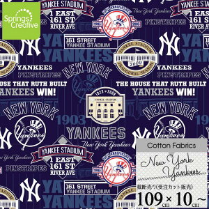 11{ח\̔/ / 10cmP ăJbg MLB j[[N L[X X^WA W[[O 149cm 唻  n 싅  Rbg vg z | A