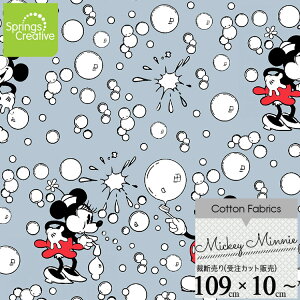 / 10cmP ăJbg fBYj[ ~bL[ ~j[ re[Wou n  Rbg vg LN^[ z  | A