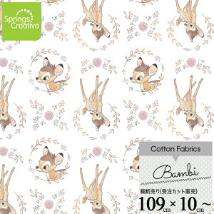 / 10cmP ăJbg fBYj[ or zCg n  Rbg vg LN^[ z  | A