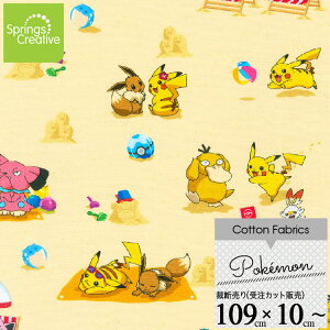 / 10cmP ăJbg |P r[` ^ n  sJ`[ Rbg vg LN^[ j̎q ̎q z  | A