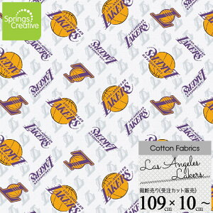 / 10cmP ăJbg T[X CJ[Y NBA oXPbg CJ[X n  Rbg vg z 