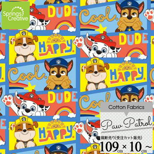 / 10cmP ăJbg pEEpg[ nbs[ n  pEpg Rbg vg LN^[ j̎q ̎q z  | A