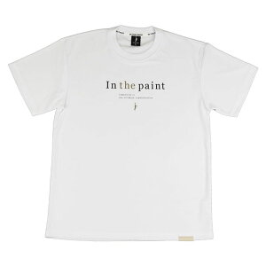 y[OKzi` A[XJ[ TVc oXP Y TVc gbvX IN THE PAINT(CUyCg) ITP25421