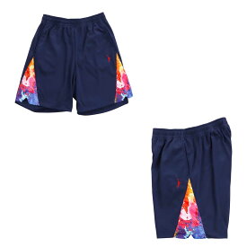 【メール便OK】IN THE PAINT(インザペイント) ITP23414 メンズ バスケットパンツ PANEL SHORTS バスケットショーツ