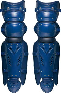 vXeC^X dpK[c ZETT([bg) BLL1265