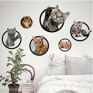 EH[XebJ[ L L OєL  V[ 3d gbNA[g ǌ ʐ^ ܂G CeA  ˂ ǎ V[ hA qL