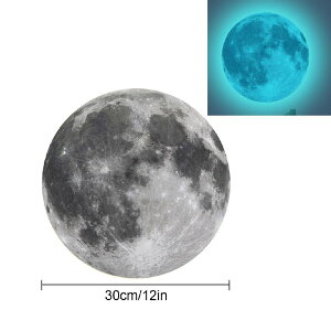 �ÈłŌ��遙�~�� �f�� �u���[�� 30cm �� �X�^�[ �F�� �E�H�[���X�e�b�J�[ �� �V�� �V�[�� �����C�N ���t�H�[�� DIY C877