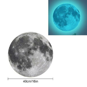 �ÈłŌ��遙�~�� �f�� �u���[�� 40cm �� �X�^�[ �F�� �E�H�[���X�e�b�J�[ �� �V�� �V�[�� �����C�N ���t�H�[�� DIY C877