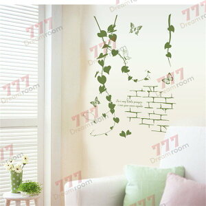 tς̃J[e  [t  EH[XebJ[ g S VGbg V[ C907