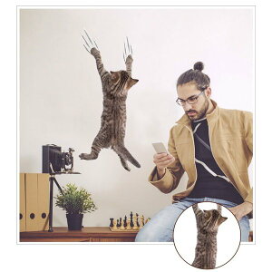 EH[XebJ[ AЂ L V[ C  CeAV[ q  3d gbNA[g ܂G 