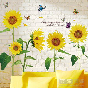 Cafe^Cv C153 傫Ȍ EH[XebJ[ iX Ђ܂ Jg[ ͂ V[ EH[fR DIY 