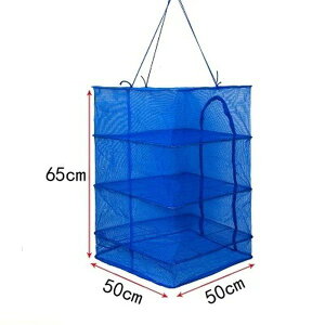  3i 50cm×65cm Ђ̊ قp  hCt[c  lbg  