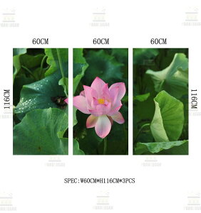 唻fUC KXtB SET y  ^CvG-273z ډBV[g ܂KX Uh~ vCoV[ی V[ KX 