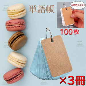 Ƒ傫 PJ[h 100×3Zbg 300 yu[zËLJ[h ËLAbv J[hOƂ p   