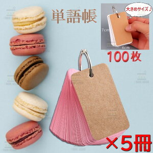 Ƒ傫 PJ[h 100×5Zbg 500 ysNzËLJ[h ËLAbv J[hOƂ p   