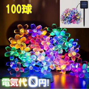 \[[ flower C~l[VCgLED yC{[ 12m 100zh 듔 Ɩ O 