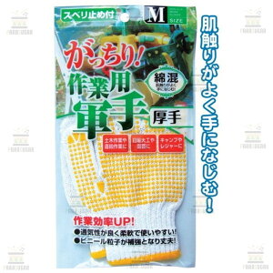 ȍ ƗpR  ~ߕt M 22cm