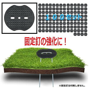 100 U^p  V[g KXPbg