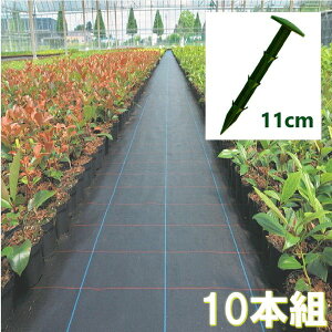 10 hV[g Œs O[ 11cm V[gŒ PPY hlbg G h hJ }bgŒ S | 