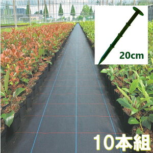 10 hV[g Œs O[ 20cm V[gŒ PPY hlbg G h hJ }bgŒ S | 