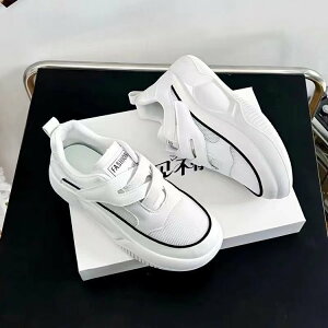 fB[X Xj[J[  ^C C   nCq[ V[Y O o