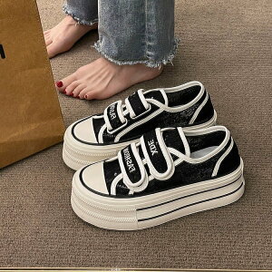 fB[X Xj[J[ XpR[ bV 炫 ^C C   nCq[ V[Y O o